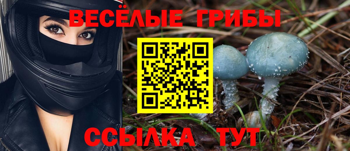 Псилоцибиновые грибы Magic Shrooms Урус-Мартан